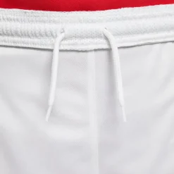NIKE DRI-FIT PARK III BIG KIDS