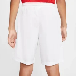 NIKE DRI-FIT PARK III BIG KIDS