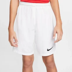 NIKE DRI-FIT PARK III BIG KIDS