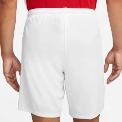 NIKE DRI-FIT PARK III MEN'S SO