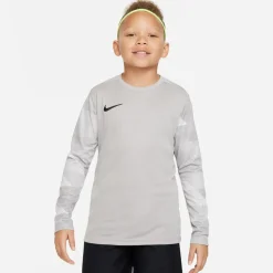 Nike Dri-fit Park Iv Goalkeeper Big