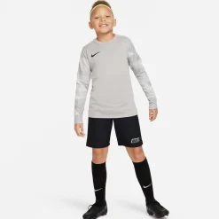 Nike Dri-fit Park Iv Goalkeeper Big