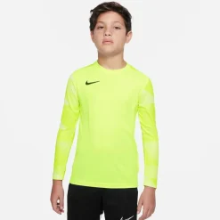 Nike Dri-fit Park Iv Goalkeeper Big