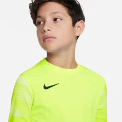 Nike Dri-fit Park Iv Goalkeeper Big
