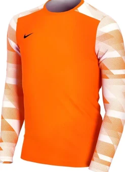 Nike Dri-fit Park Iv Goalkeeper Big