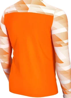 Nike Dri-fit Park Iv Goalkeeper Big