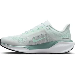 Nike Pegasus 41 hardloopschoenen