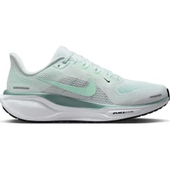 Nike Pegasus 41 hardloopschoenen