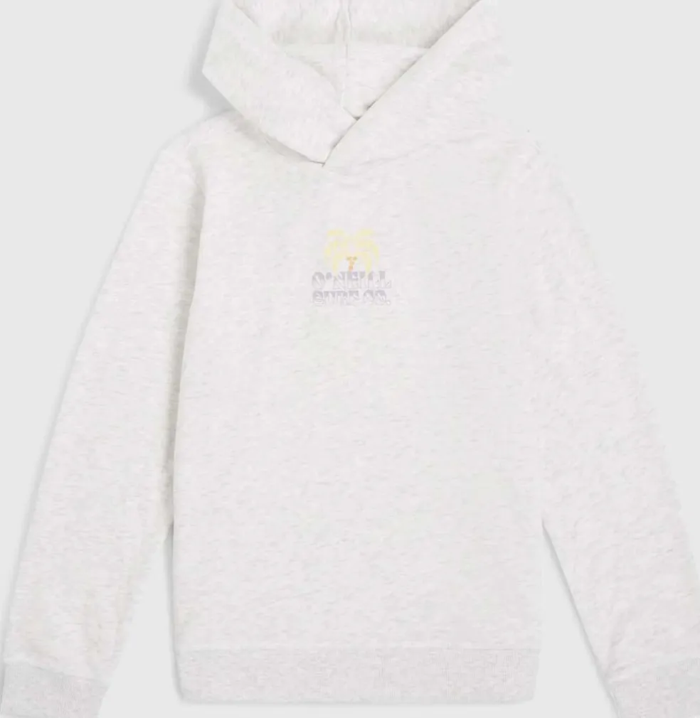 Oneill Back Print Hoodie