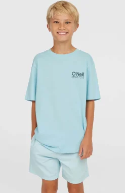 Oneill Vert 14 Swimshorts