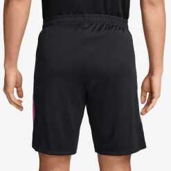 Paris Saint-Germain Dri-Fit Strike k orte broek