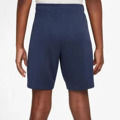Paris Saint Germain Strike Dri-FIT Knit short