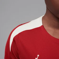 Paris Saint Germain 4th 2024/25 Strike top