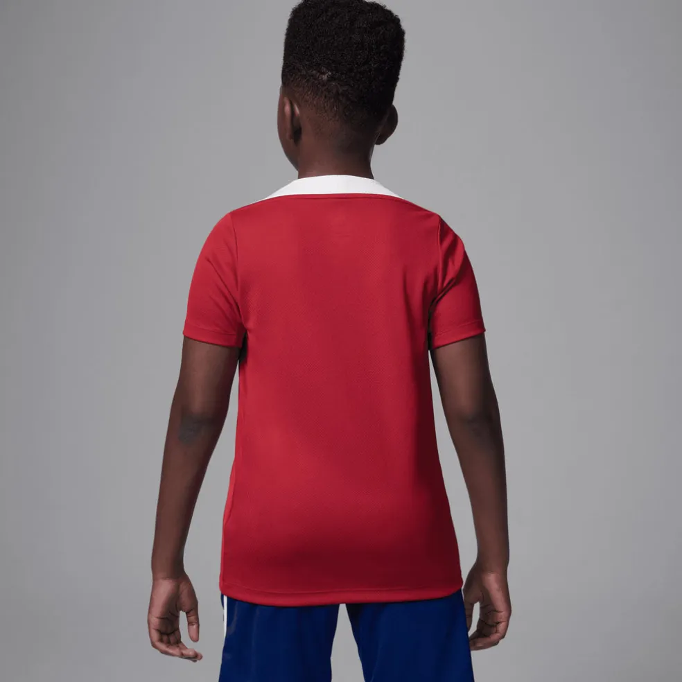 Paris Saint Germain 4th 2024/25 Strike top