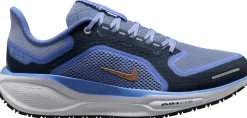 Pegasus 41 Gore-tex hardloopschoenen