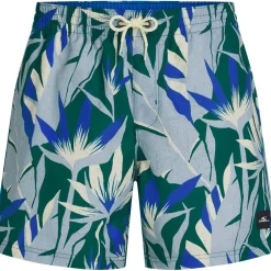 Print 16 Zwemshort