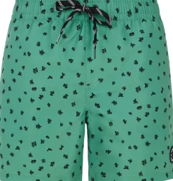 Prtjuan Beachshort