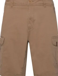 Prtnytro Cargoshort