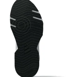 rapidmove go trainer w