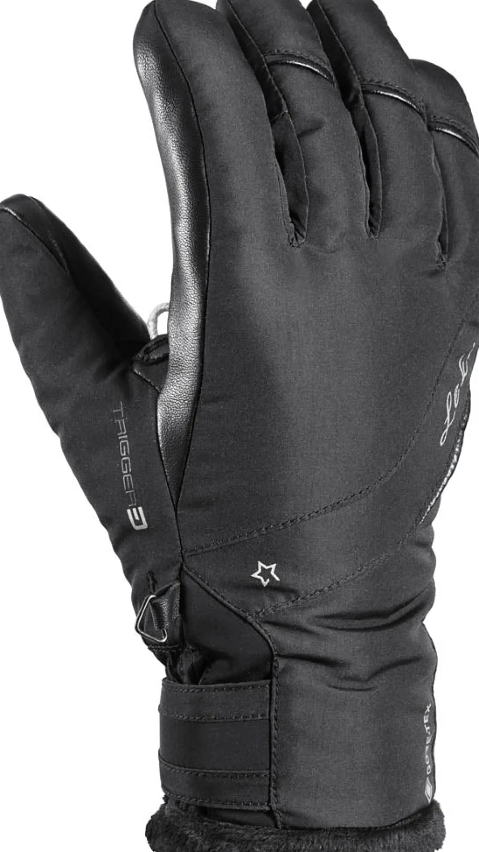 Snowbird 3D GTX handschoenen