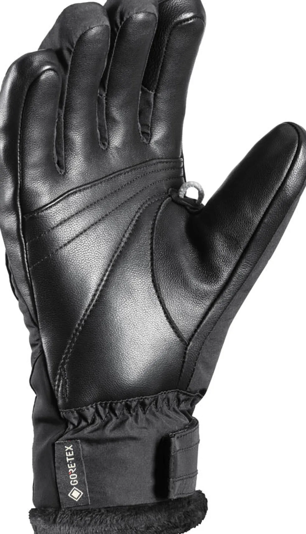 Snowbird 3D GTX handschoenen