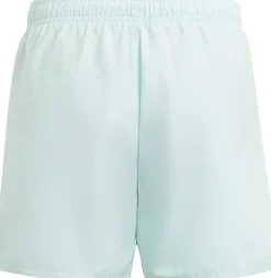 Sportswear Essentials Logo CLX kids zwemshort