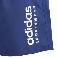 Sportswear Essentials Logo CLX kids zwemshort