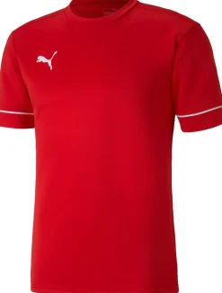 Teamgoal Training shirt
