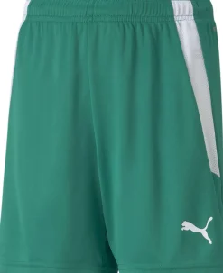 Teamliga kids short