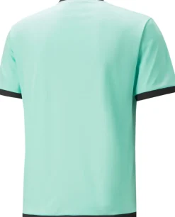 TeamLIGA shirt