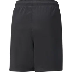 Teamliga Training kids short
