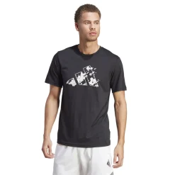 Train Essentials Seasonal Training Graphic shirt