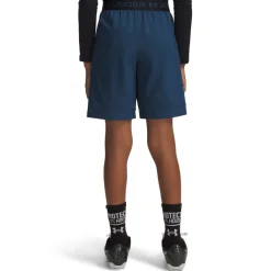 ua vanish shorts-blu