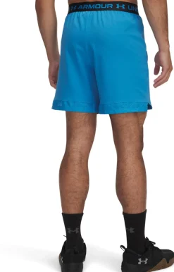 Vanish Woven 6in short